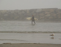 Early Morning Surfer