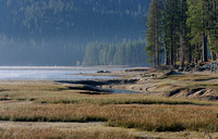 Bass Lake Meadow