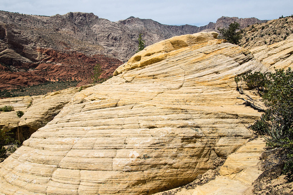 Snow Canyon