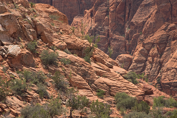 Snow Canyon