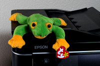 Jan 7 - Froggy's Perch
