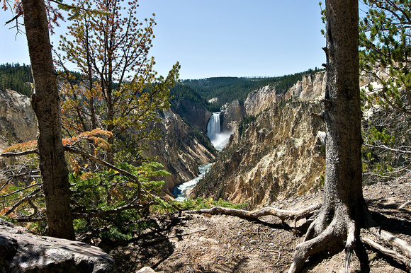Lower Falls, from Artist Point
