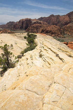 Snow Canyon