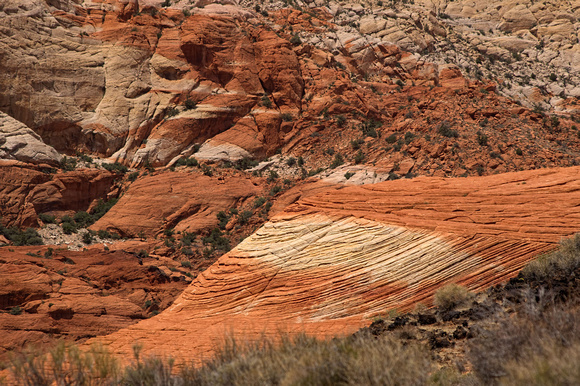 Snow Canyon