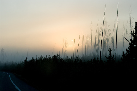 Early Morning Fog